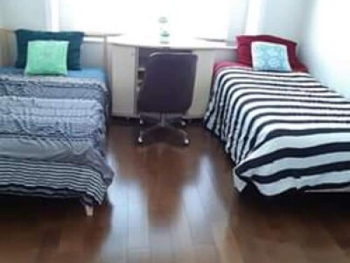 Homestay experienced. Of internatio