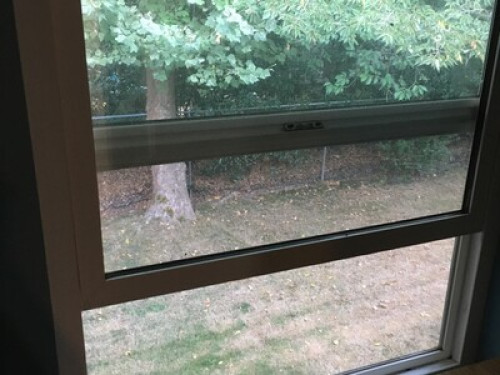 Burnaby Lougheed New Reno! near SFU