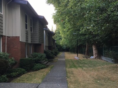 Burnaby Lougheed New Reno! near SFU  - Gallery -  5