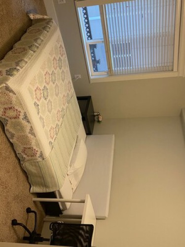 student-rooms-available-coquitlam-92563271920240815010344AM