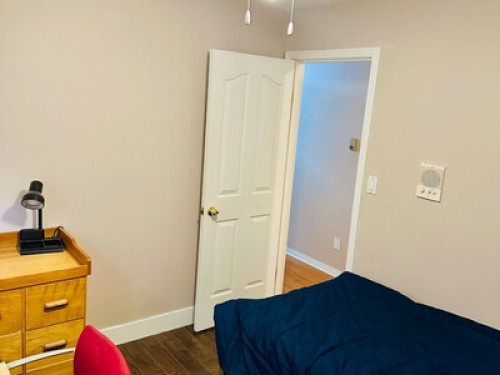 basement-suite-burnaby-133075351320250423054232AM