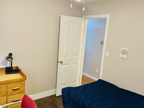 Basement suite 