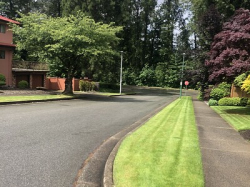 welcome-to-our-home-in-forest-hills-burnaby-184251466020240815011043AM