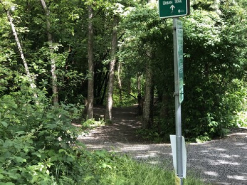 welcome-to-our-home-in-forest-hills-burnaby-53107361520240815011044AM