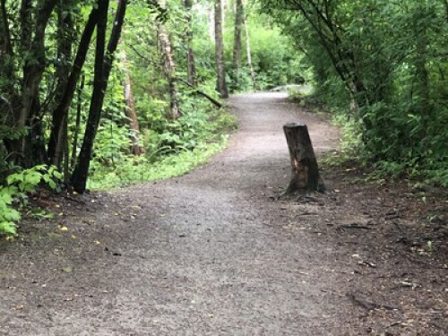 welcome-to-our-home-in-forest-hills-burnaby-70008610820240815011044AM