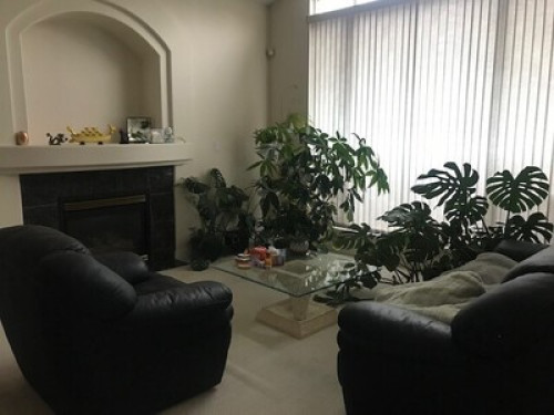 two-one-bedroom-main-floor-rooms-coquitlam-159748443120240815011555AM