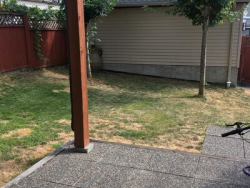 complete-basement-in-burke-mountain-coquitlam-122007029320240815011606AM