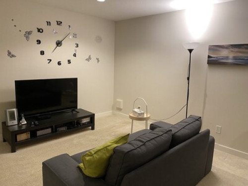 Complete Basement in Burke Mountain