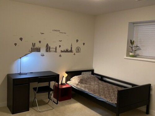 complete-basement-in-burke-mountain-coquitlam-25743161720240815011607AM