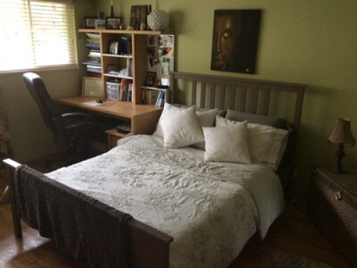 Experienced and well grounded famil