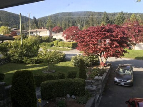 Experienced and well grounded famil  - Gallery -  5