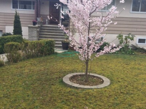 Experienced and well grounded famil