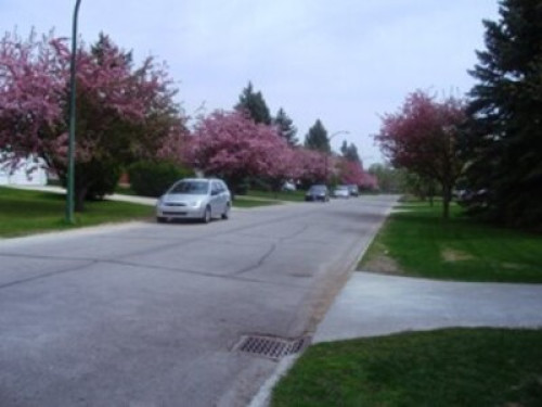 Near U of M. very near BUS,  - Gallery - 22