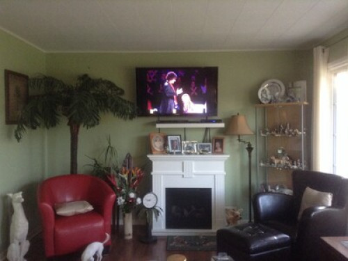 Typical Canadian Home - Gallery - 6