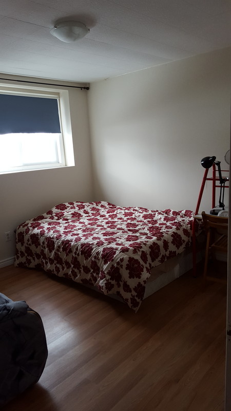 Room1(Full Room) - Friendly international family - Gallery - 1