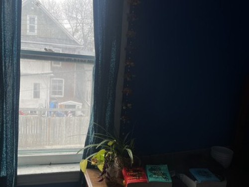 Interested in sharing our home?