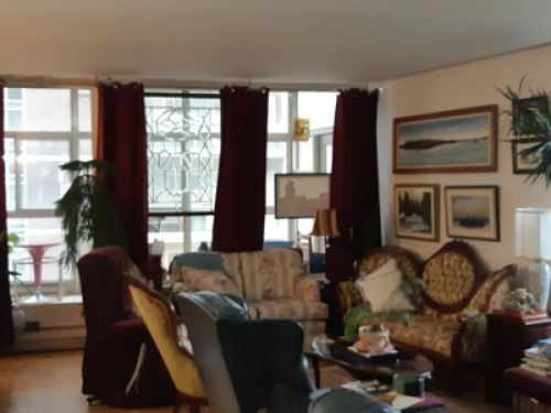 Luxury Wellington Crescent Living