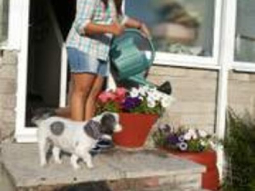 Country setting near the sea - Gallery - 17