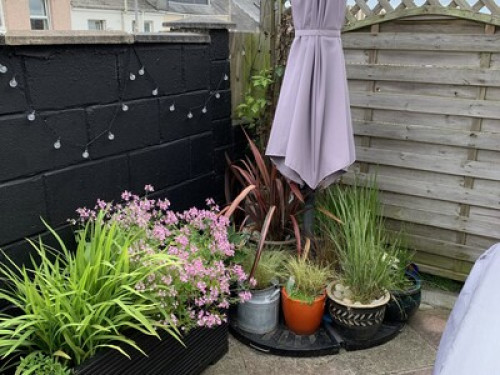 be-part-of-the-family-with-services-plymouth-37165411020240815012522AM