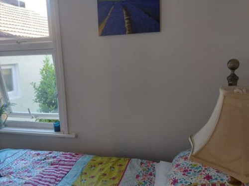 Friendly and Bright Room Available