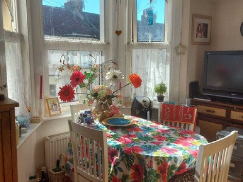 Friendly and Bright Room Available