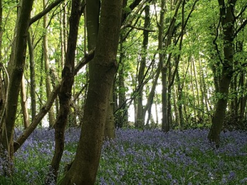"Seafront - Warm & Cosy Home”