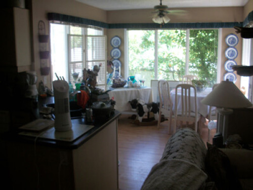 My house is your home - Gallery - 19