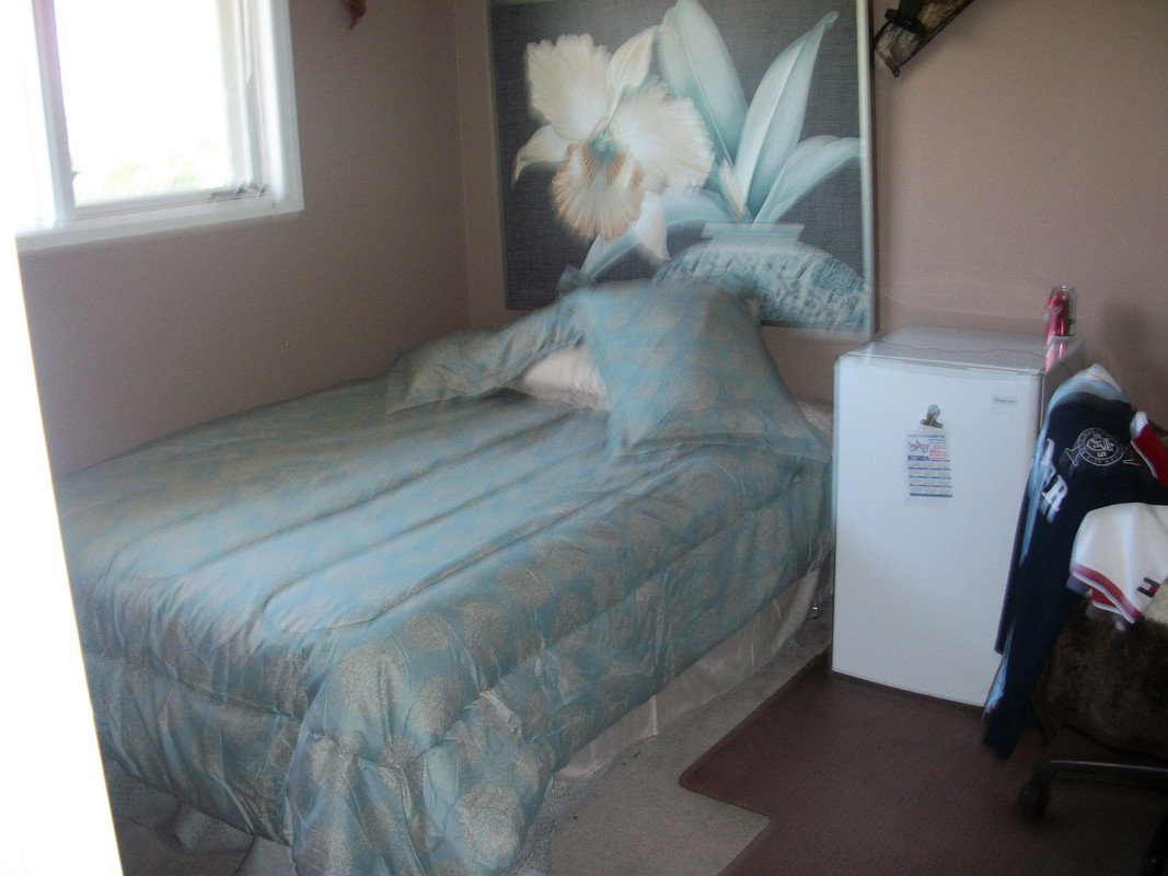 Blue Roomn(Single Bed) - 1