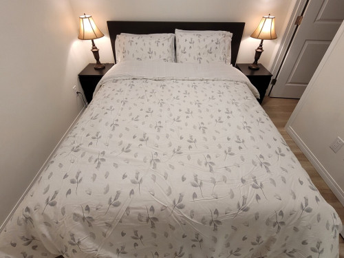 Basement room at Auburn Bay - Gallery - 5