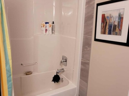 Basement room at Auburn Bay - Gallery - 37