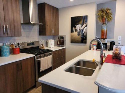 Basement room at Auburn Bay - Gallery - 10