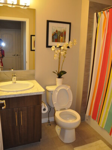 Basement room at Auburn Bay