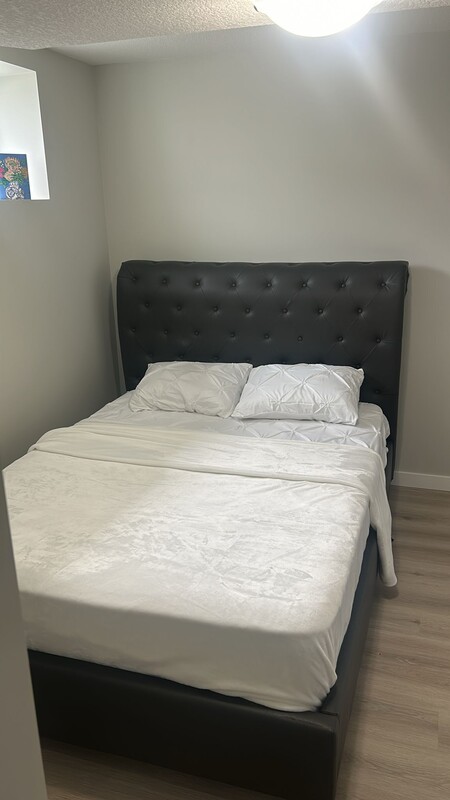  Main Room(Full Room)  -  Cozy Lovely 1Bedroom Suite   - Gallery -  1