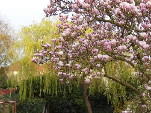 Visiting University of Southampton?