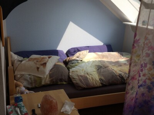 Homestay near Cologne offers rooms