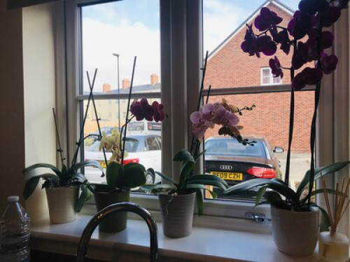 Three bedroom lovely house 