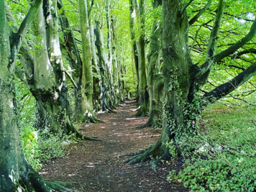 Winchester lovely dbl rm, shortstay  - Gallery -  2