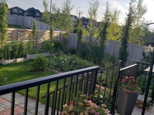 Modern & Cozy   - Gallery -  5