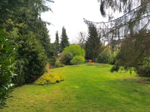 Small gardenhouse close to Dusseldo