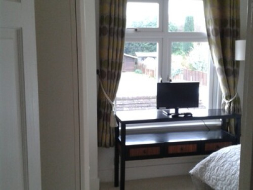 Fashion design enthusiasts