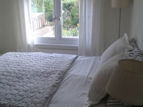 Fashion design enthusiasts