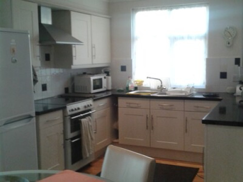 Fashion design enthusiasts