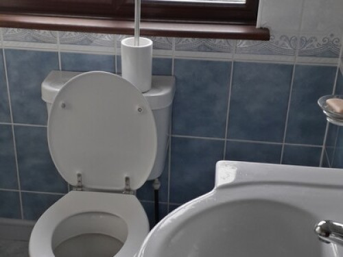 Homely with en-suite (Female only)