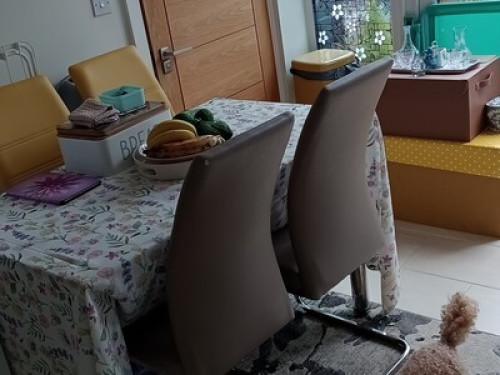 Friendly outgoing family in Croydon