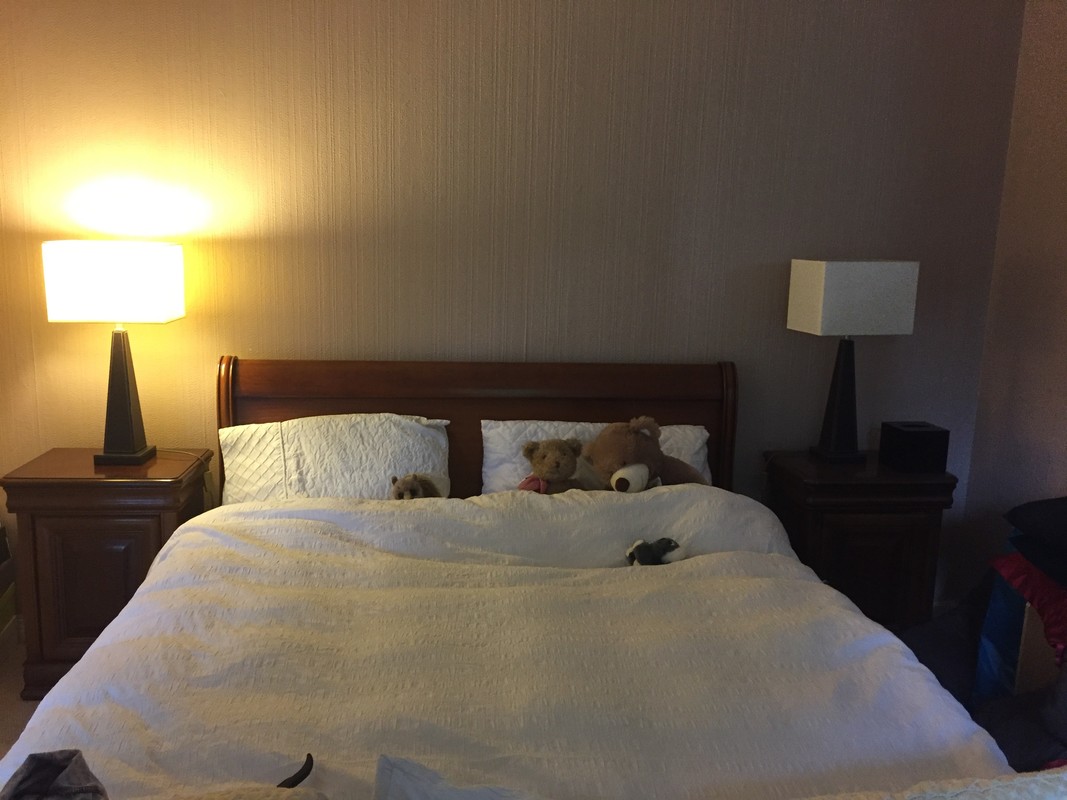Double Bedroom(Full Room) - 1