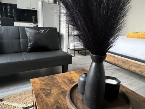 New +Refurbished Kingston Studio