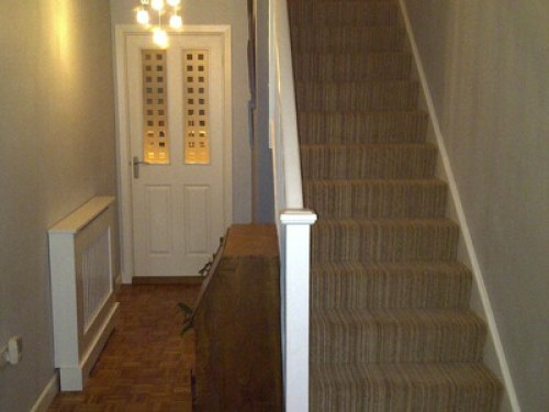 friendly-family-in-bristol-bristol-125790041720240815021446AM