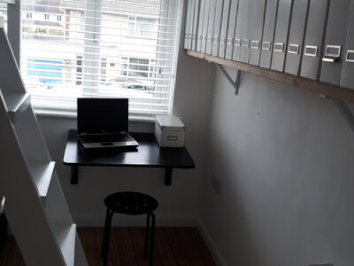 friendly-family-in-bristol-bristol-169843886420240815021522AM
