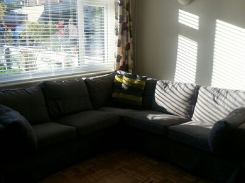 friendly-family-in-bristol-bristol-213438063320240815021453AM