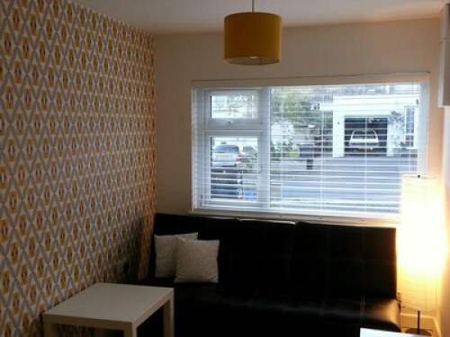 friendly-family-in-bristol-bristol-22344141720240815021506AM